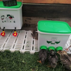 Mangeoire pour petits oiseaux 7kg (6 ports d’alimentation) + Abreuvoir 10l avec 2 coupelles flottantes