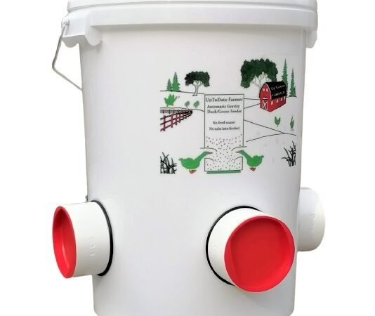 mangeoire pour canard sauvage