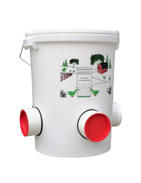 mangeoire pour canard sauvage