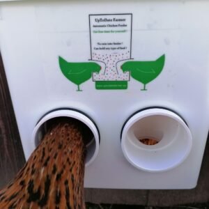 Mangeoires à poulets